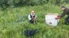 Myslivci v Libomyšli zachraňovali srnčata a další mláďata za pomocí dronů